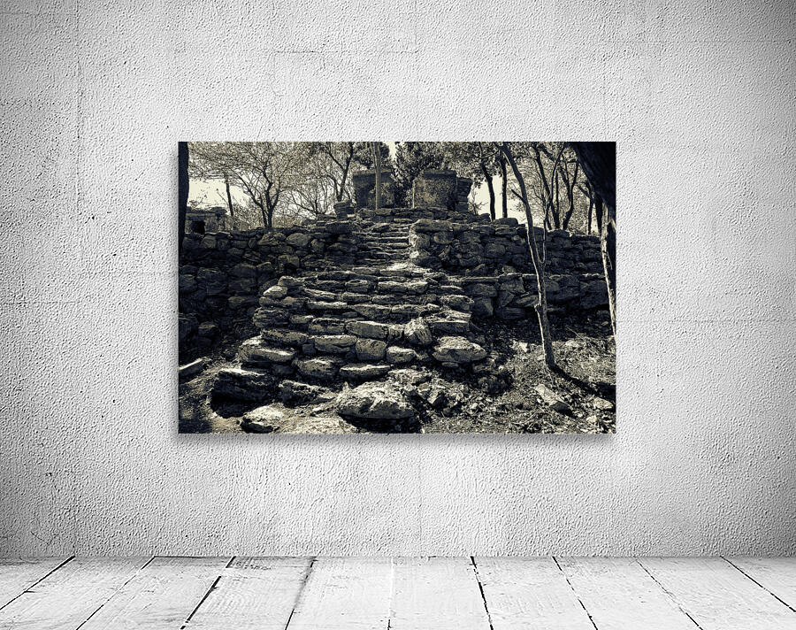 Mayan Ruins Wall Preview