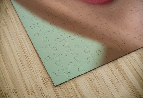 Healthy Smile Dr Richard Halpern Orthodontist Calgary puzzle