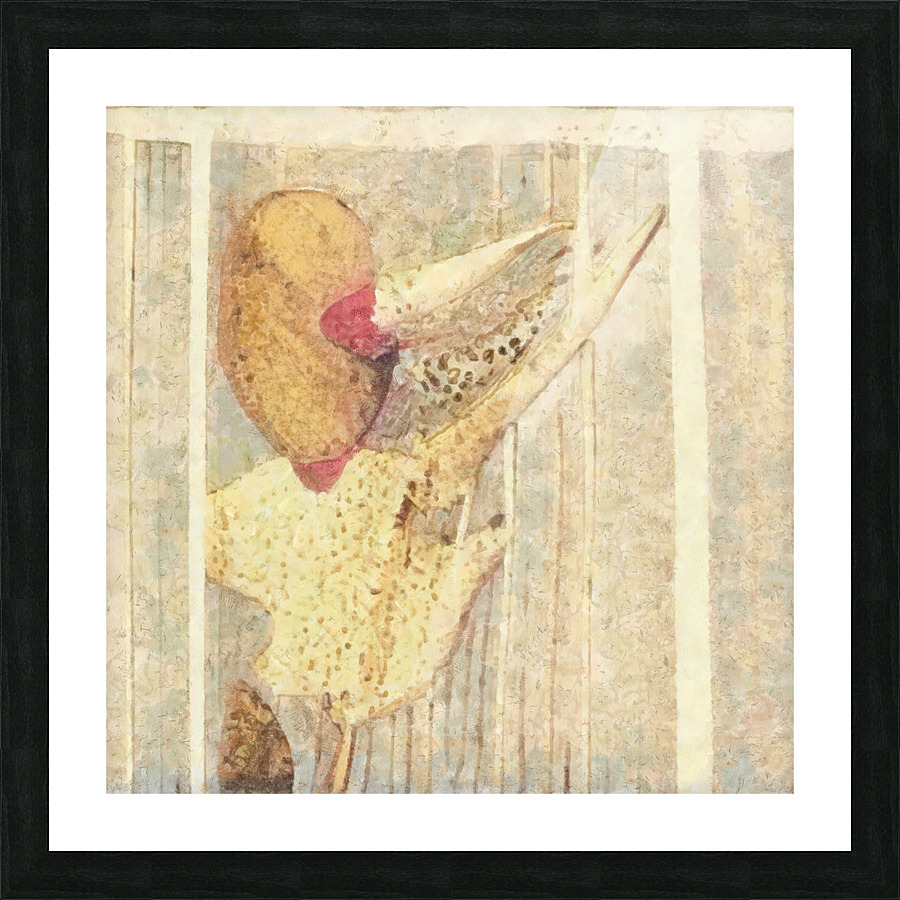 United Textures UK  Picture Frame print