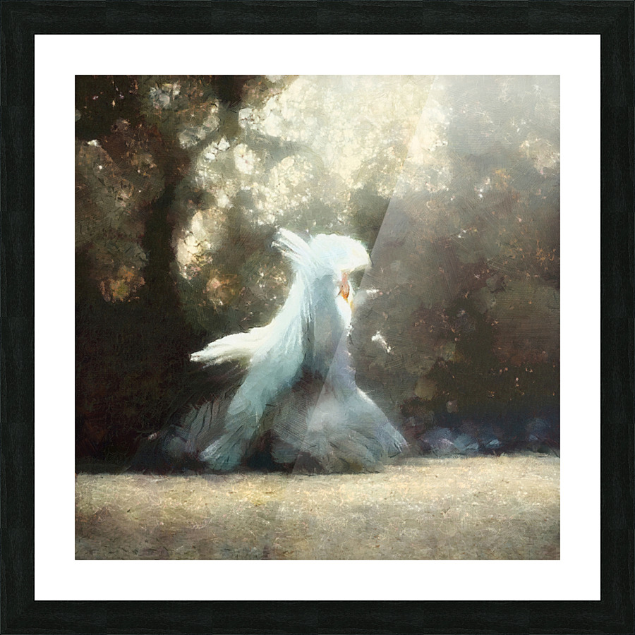  Fine Art print