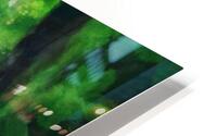 Warming Green Forest HD Metal print