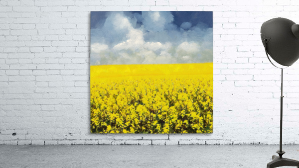 Canola Fields  Grampians Wall Preview