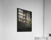 Hide and seek Acrylic Print