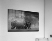 Move with time Acrylic Print