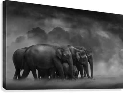 Move with time Canvas Print