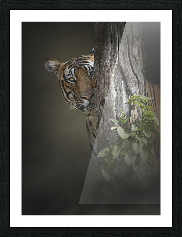 Hide and seek Picture Frame print
