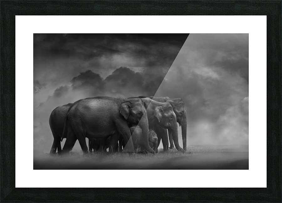 Move with time Picture Frame print