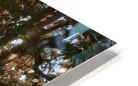 Filtered Sunrise HD Metal print