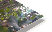 Inspired Elegance HD Metal print