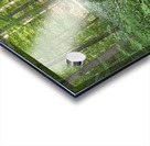 Wild Garlic Bridge Acrylic print