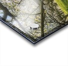 Cherry Blossom Acrylic print