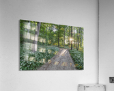 Wild Garlic Path Acrylic Print
