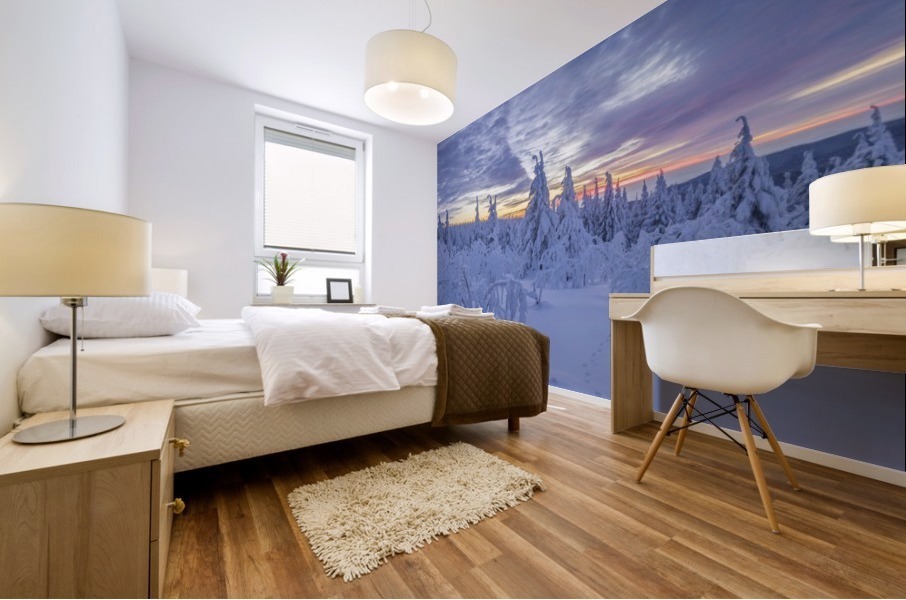 Harzer Winter Mural print