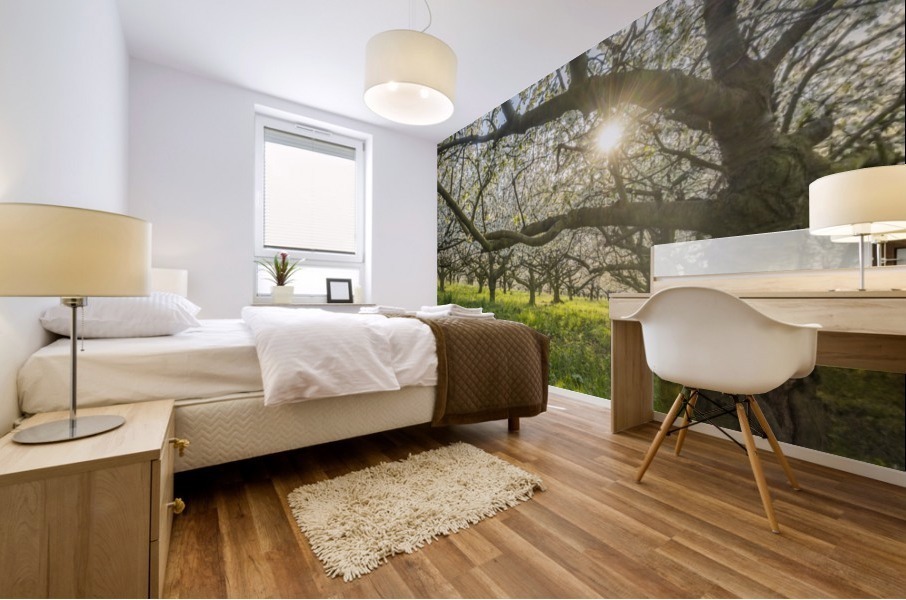 Cherry Blossom Mural print