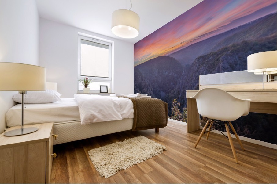 Bode Valley Harz Mural print