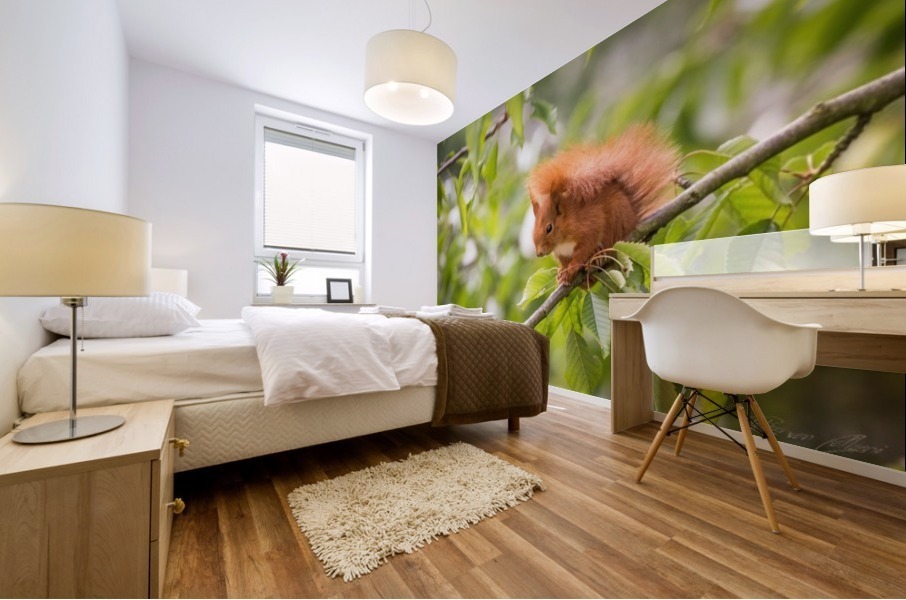 Squirrel Mural print