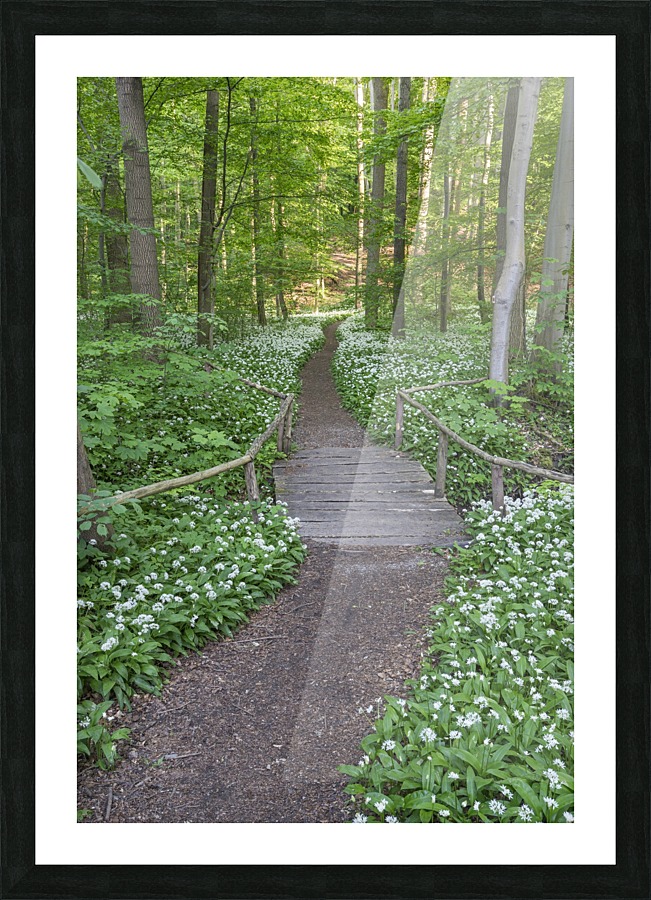 Wild Garlic Bridge Picture Frame print
