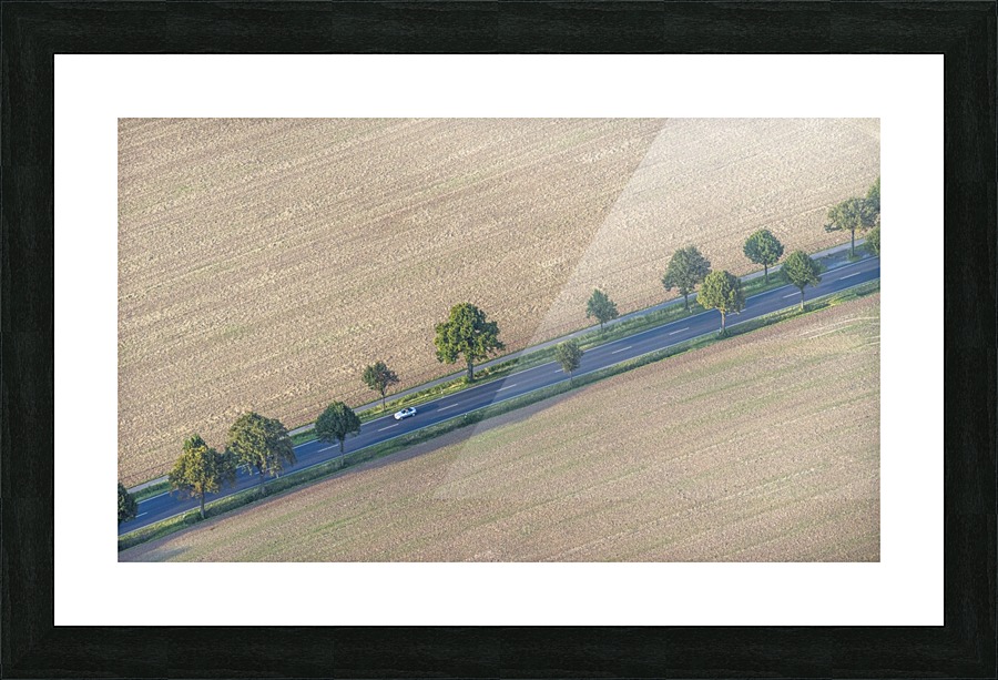 The Car Picture Frame print