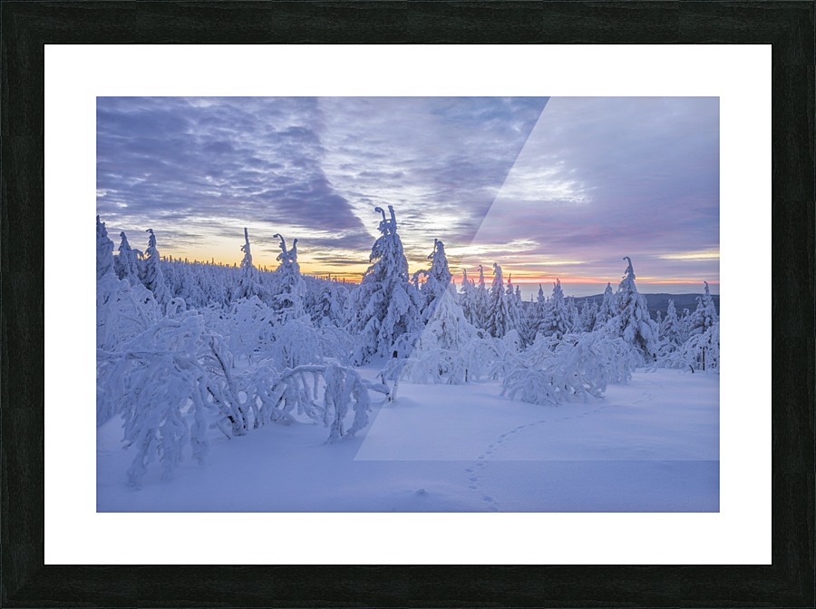 Harzer Winter Picture Frame print