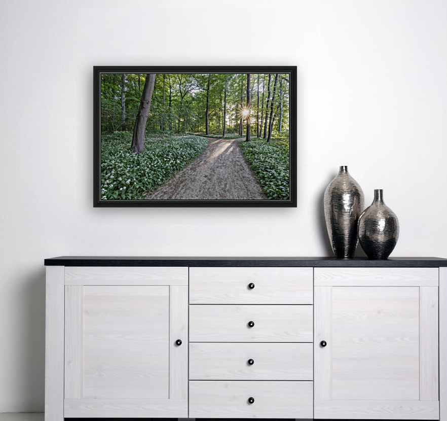 Wild Garlic Path Reproduction
