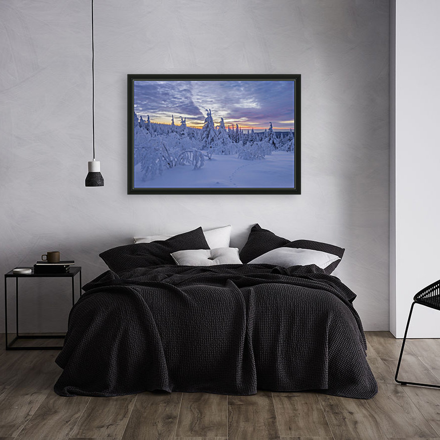 Harzer Winter Reproduction