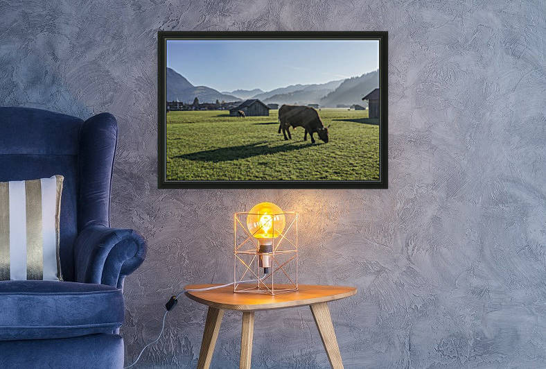 Cows in autumn by Patrice von Collani