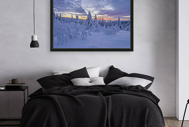 Harzer Winter by Patrice von Collani