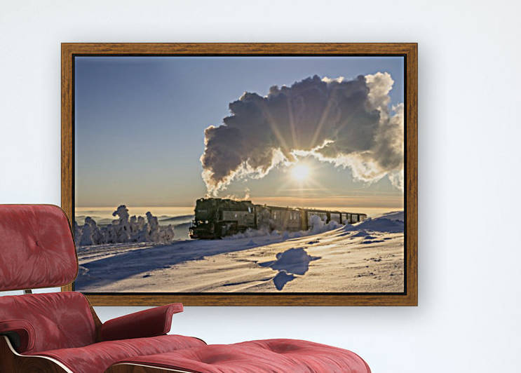Harz Narrow Gauge Railway by Patrice von Collani
