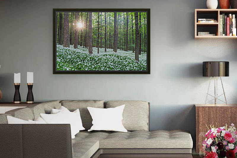 Wild Garlic Flowers Nationalpark Harz by Patrice von Collani