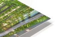 Wild Garlic Bridge HD Metal print