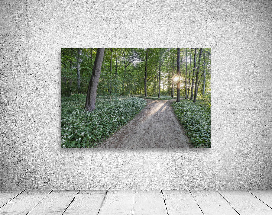 Wild Garlic Path Wall Preview