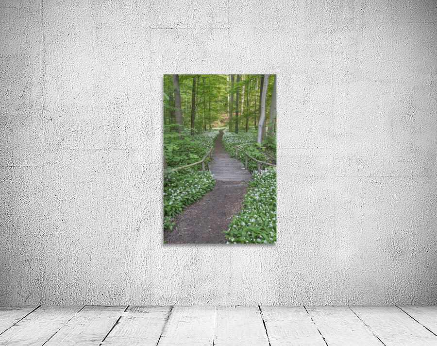 Wild Garlic Bridge Wall Preview