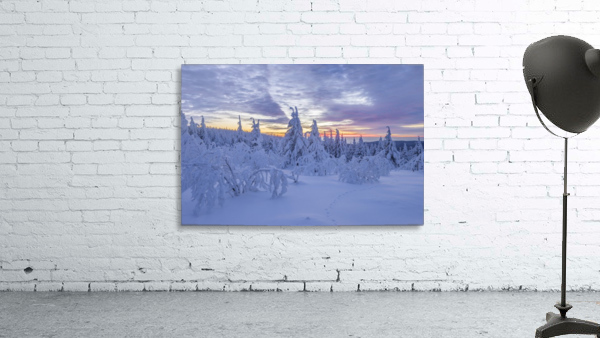 Harzer Winter Wall Preview