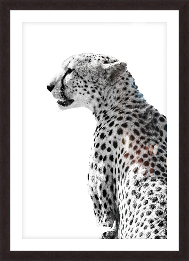 Graceful and Swift Picture Frame print