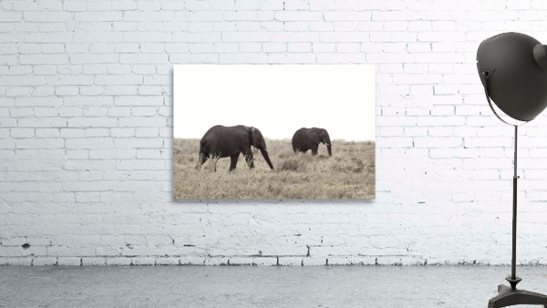 Dusk Grazing Wall Preview