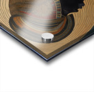 SIAMESE TWINS Acrylic print