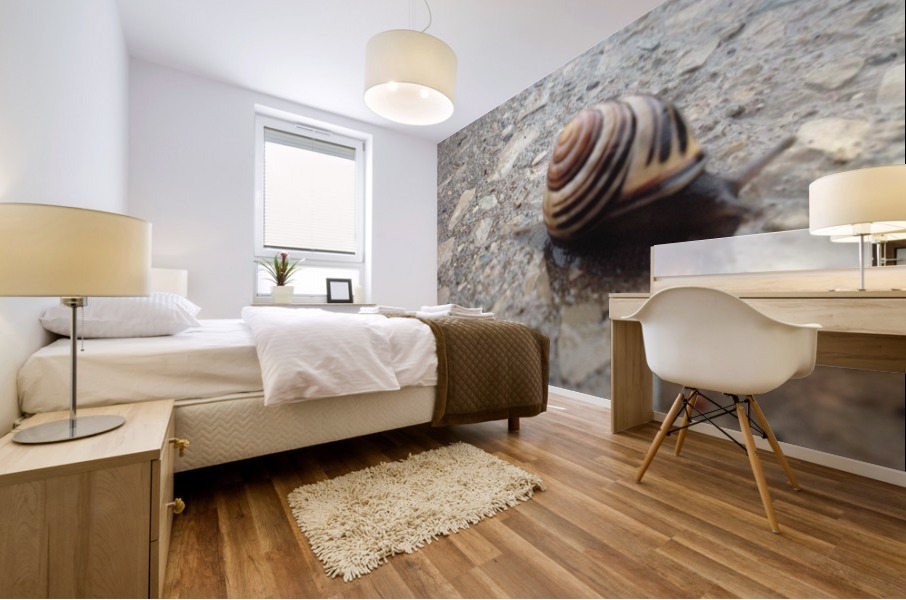 Stone Snail Mural print