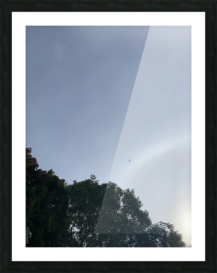 Fly Away Picture Frame print