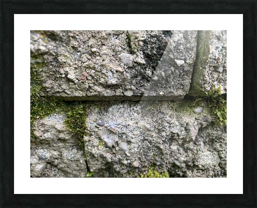Stoney Moss Picture Frame print