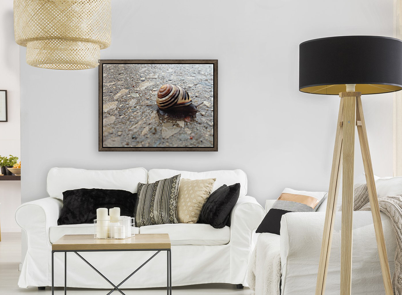 Stone Snail Reproduction