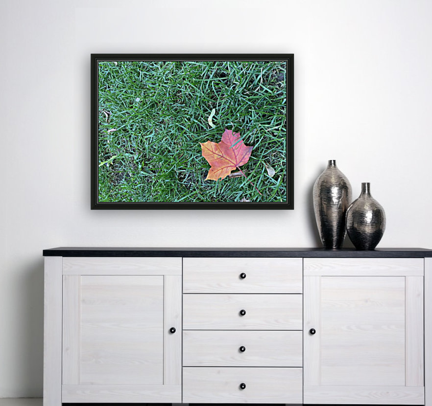 Lone Leaf Reproduction