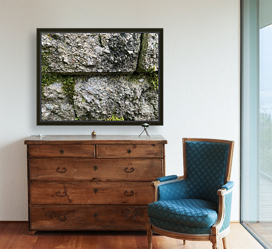 Stoney Moss Reproduction