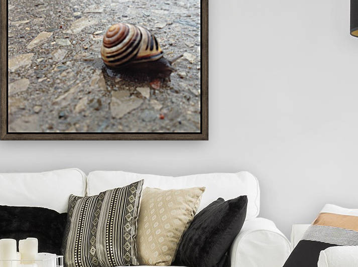 Stone Snail by Iris