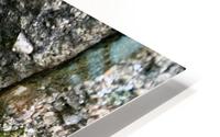 Stoney Moss HD Metal print