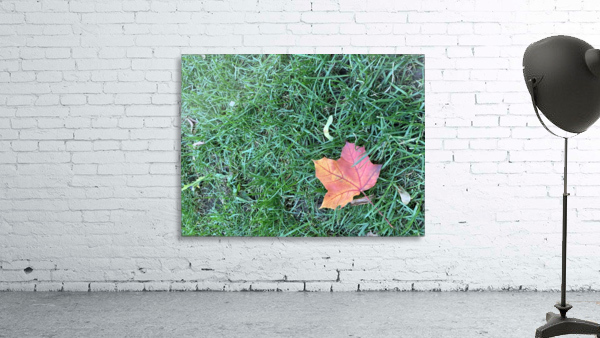 Lone Leaf Wall Preview