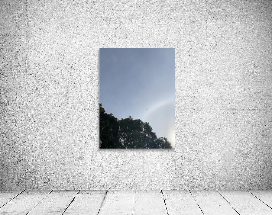 Fly Away Wall Preview