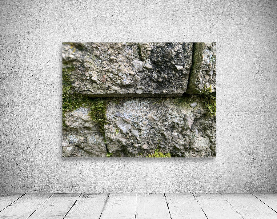 Stoney Moss Wall Preview