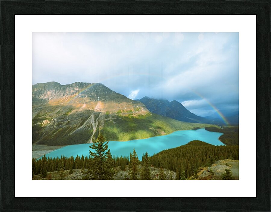 The Gem Picture Frame print