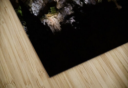 The Citadel Paradisaical puzzle