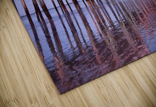 The Mirror Paradisaical puzzle